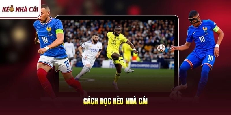 Cách Đọc Kèo Nhà Cái