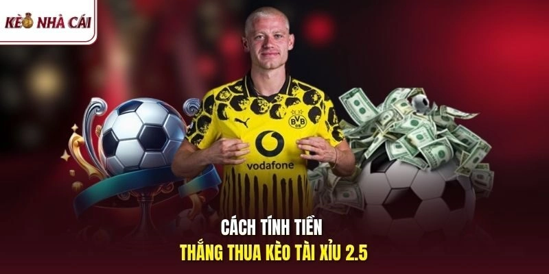 Cách tính tiền thắng thua kèo tài xỉu 2.5